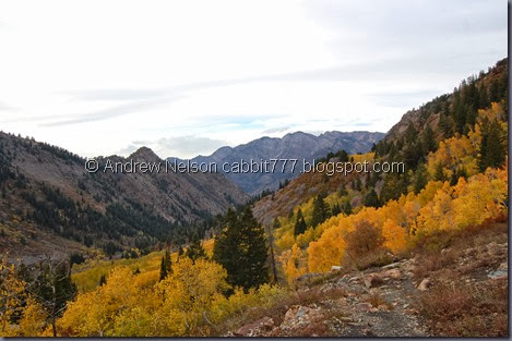 DSC_0001 DSC_0001