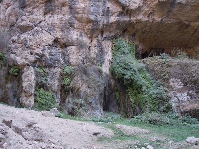 DSCN4037.jpg