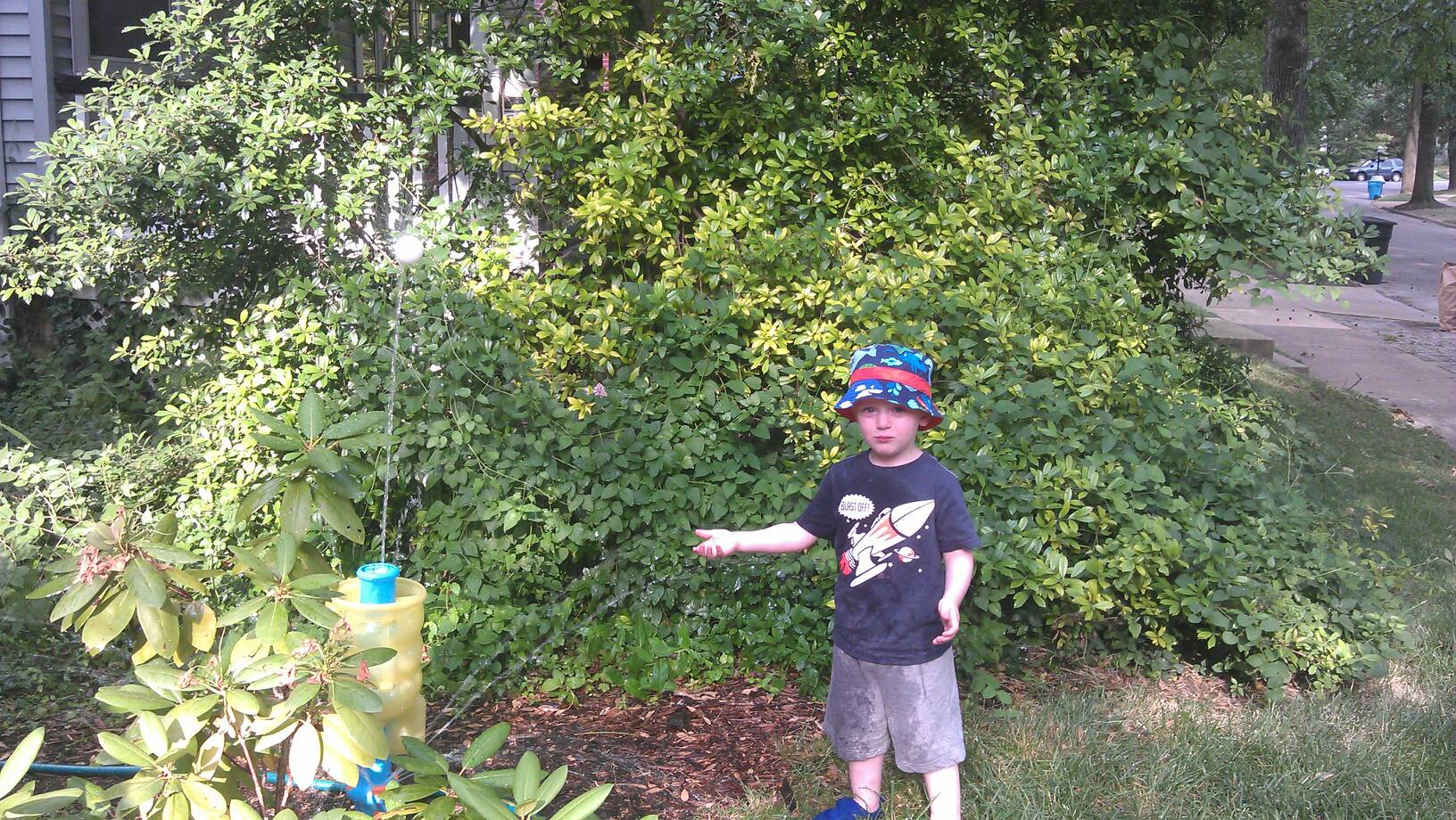 New sprinkler from nana
