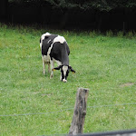 Zomerkamp 2011 explorers 019.JPG