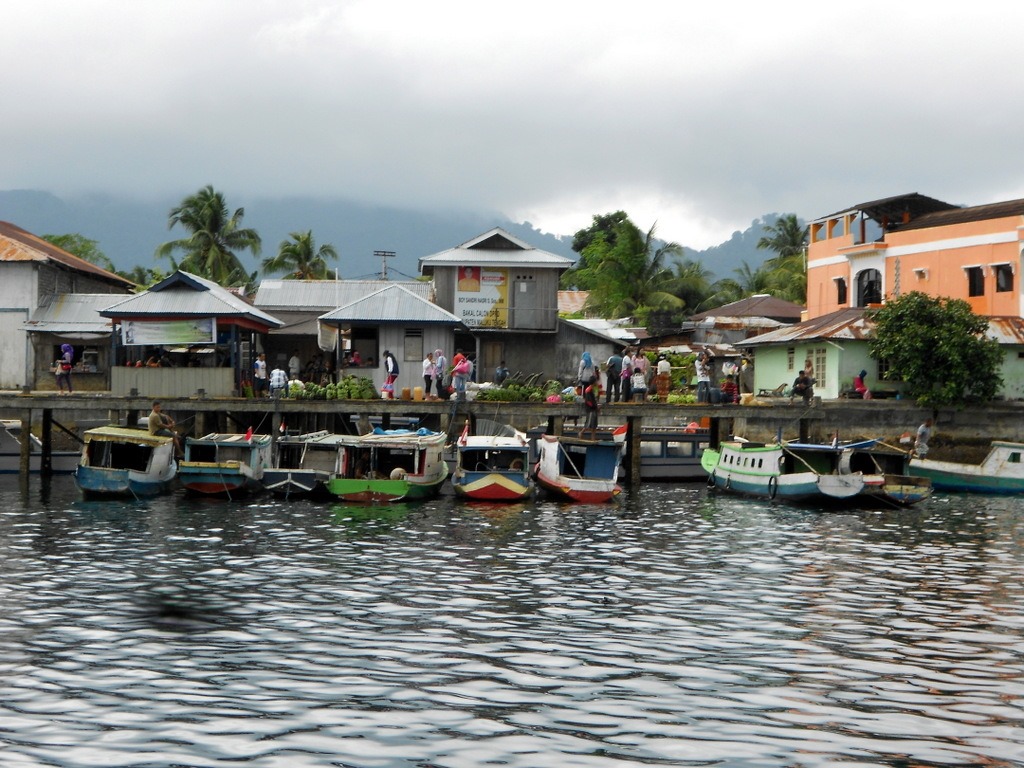 [DSCN05116.jpg]