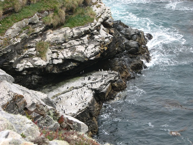 [IMG_2447%255B4%255D.jpg]