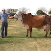 superleite2011_dia1607_37.JPG
