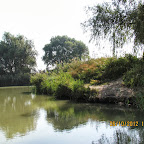 IMG_8015.JPG