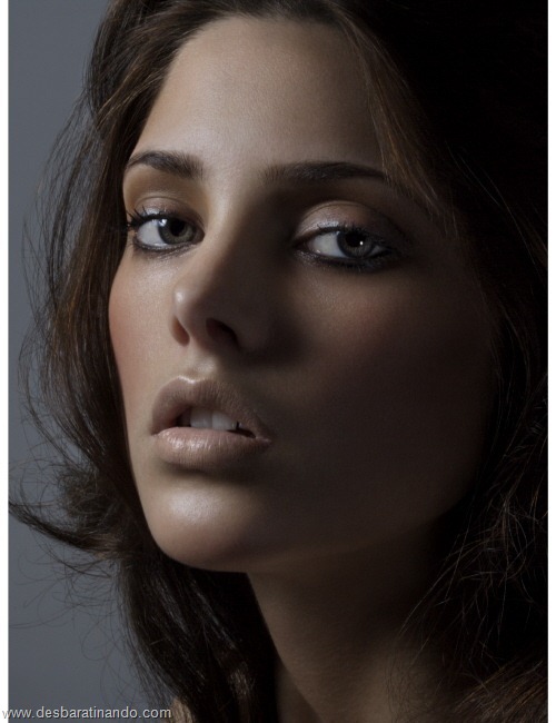 ashley greene linda sensual gata sexy hot photos fotos desbaratinando (7) ashley greene linda sensual gata sexy hot photos fotos desbaratinando (7)