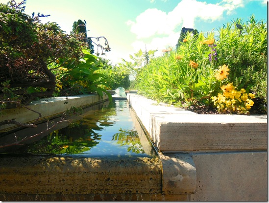 water at the garden