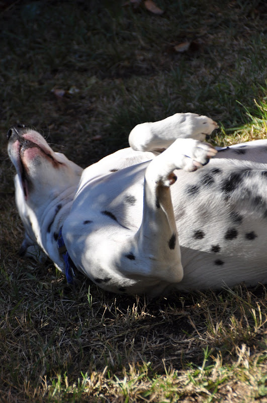 DSC_0633 DSC_0633