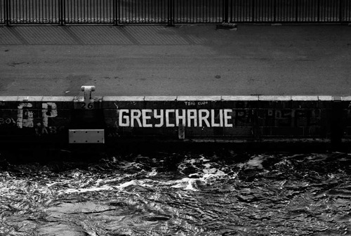 Grey-Charlie Grey-Charlie