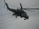 IMG_1167.jpg