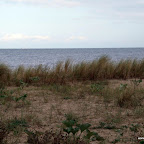 20100825_018_small.JPG