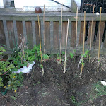 IMAG0089.jpg