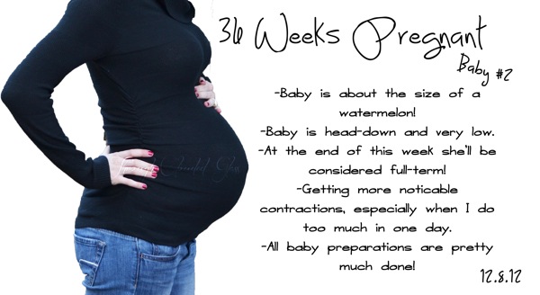 36weeks.jpg 36weeks