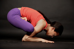 Karandavasana: Himalayan Goose Pose
