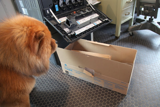 Luckily, I'm prepared for situations like this one.  I just happen to have a replacement toner handy!