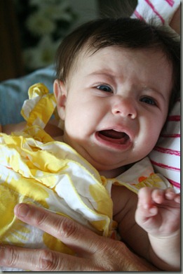 IMG_2029 IMG_2029