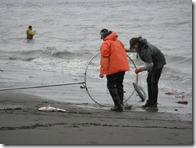 IMG_5715 IMG_5715