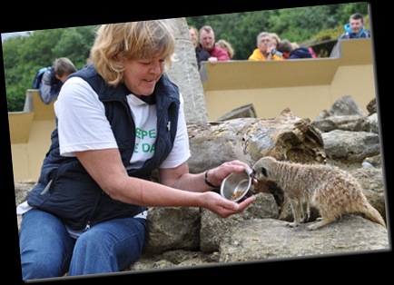 Pam White feeding Meerkat (resized) DSC_0177