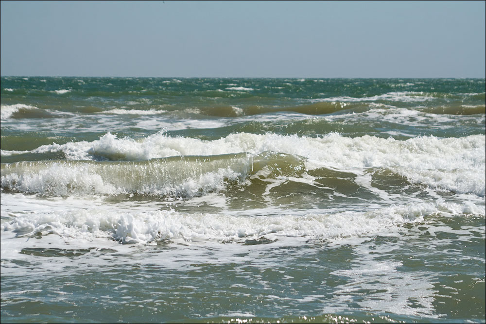 IMG_2696_small.jpg