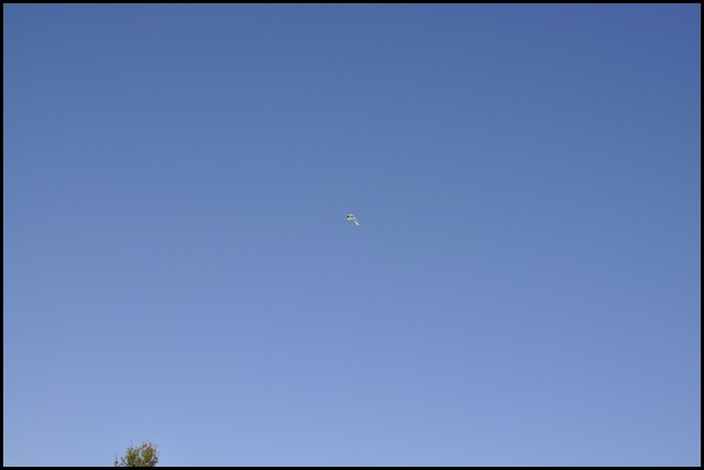 DSC_0569 DSC_0569