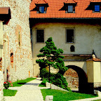 Krakow, Lagiewniki, Tyniec 118.JPG