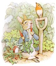 [peter%2520rabbit%255B1%255D.png]