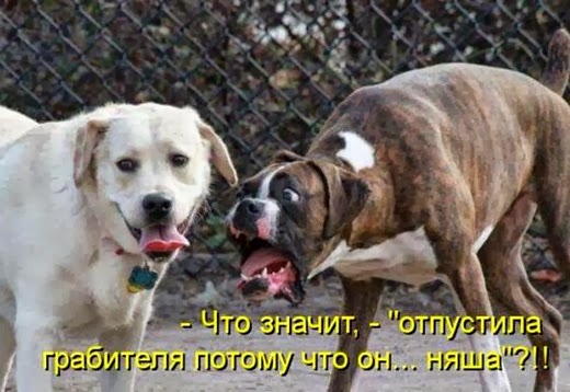 [49c671e3716e25928c7ae11b144_prev%5B8%5D.jpg]