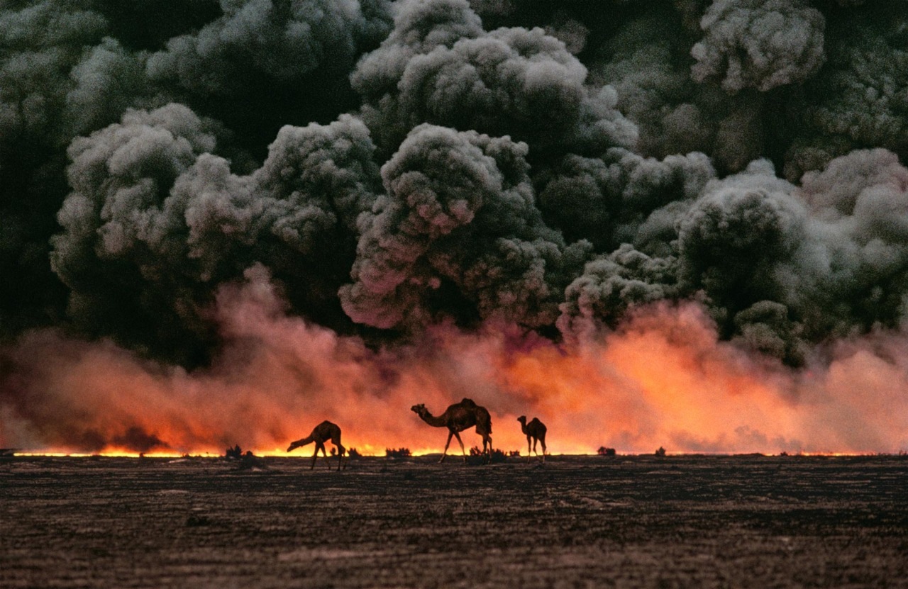 [Steve%2520McCurry%2520%2520-%2520Kuwait%252C%25201991%255B5%255D.jpg]