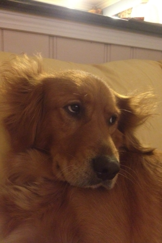 [bad%2520hair%2520day%255B3%255D.png]