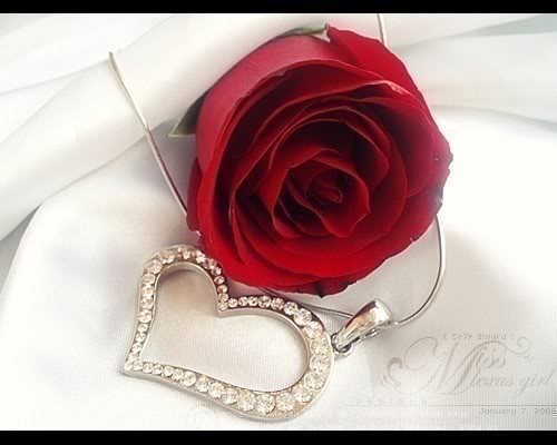 rose-and-heart-roses-romantik-love-quotes-jewel-PMac20-flowers-flowers-wine-Chained-Rose-hearts-Love-rose-and-heart-Rosses-Love-this-sx-tag_large.jpg