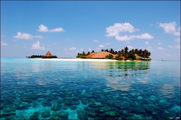 السياحة في جمال المالديف JA_thumb%25255B2%25255D
