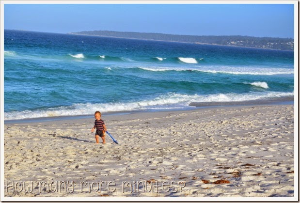 How Many More Minutes? ~ Bay of Fires, Tasmania: part three!