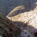 0109111610.jpg