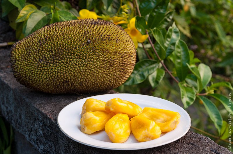 Джекфрут (Jackfruit) Джекфрут (Jackfruit)