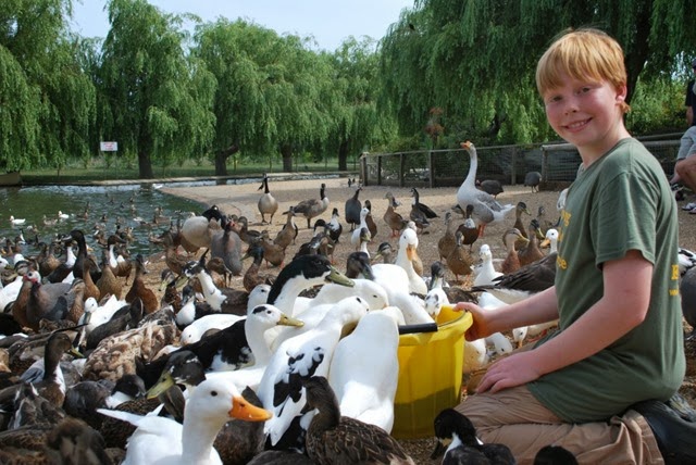 [Charlie%2520feeding%2520the%2520ducks%255B3%255D.jpg]