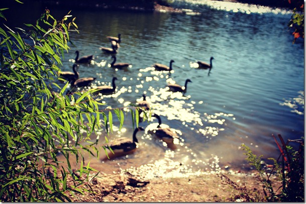 IMG_0302 IMG_0302