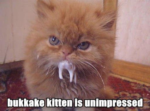 http://lh4.ggpht.com/-EQxFif7NSVY/SAdNY0CN3wI/AAAAAAAABEQ/cnIC2JOWTpU/bukkake-kitten.jpg