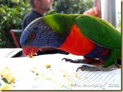 IMG_0044 IMG_0044