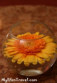 IMG_8945 IMG_8945