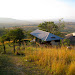 A view from the camping area near Rose's house…