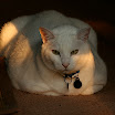 IMG_5623.JPG