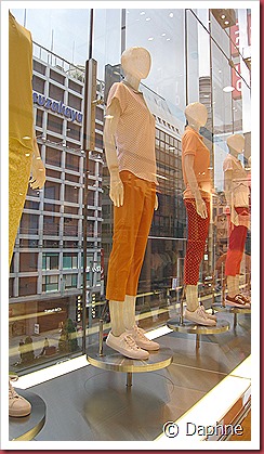 IMG_3982 IMG_3982