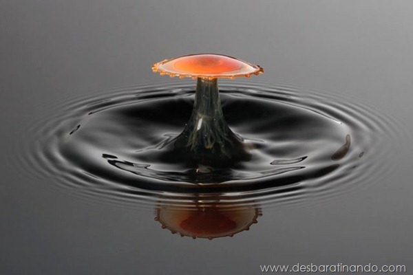 liquid-drop-art-gotas-caindo-foto-velocidade-hora-certa-desbaratinando (155) liquid-drop-art-gotas-caindo-foto-velocidade-hora-certa-desbaratinando (155)