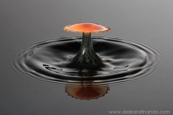 liquid-drop-art-gotas-caindo-foto-velocidade-hora-certa-desbaratinando (155)