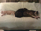 It appears there's a whole lot of affection and bonding going on for these cuties!