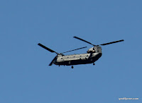 IMG_6024.JPG Photo