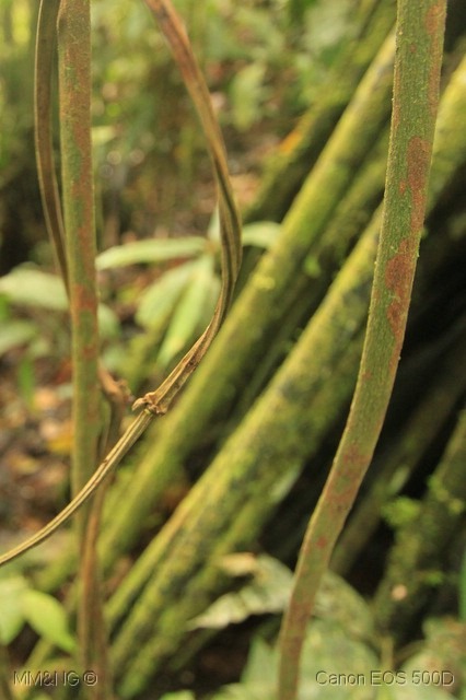 [IMG_2439%255B3%255D.jpg]