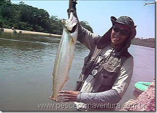 peixe cachorro peixe cachorro