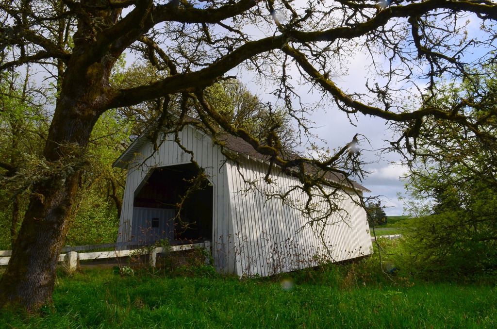 [bridges_024_013.jpg]