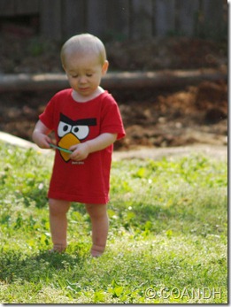 P1018442_crop