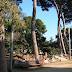 Parc Can Nadal